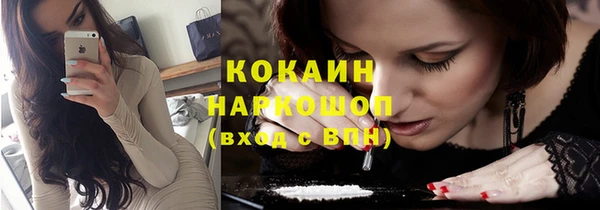 шишки Абинск
