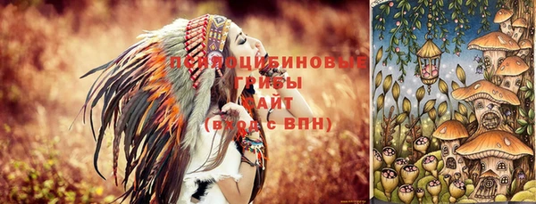 ECSTASY Алексин