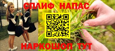 гашик Малгобек