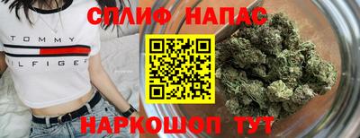 mdpv Малоярославец