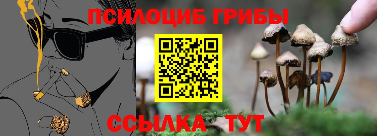 Галлюциногенные грибы мухоморы  Галлюциногенные грибы GOLDEN TEACHER  Вход с VPN  Касимов 